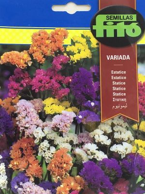 ESTATICE VARIADA