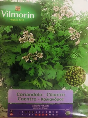 CILANTRO  Vilmorin 5 Gramos
