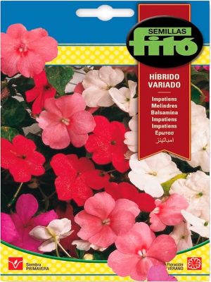 IMPATIENS (ALEGRIA DEL HOGAR) COLORES VARIADOS