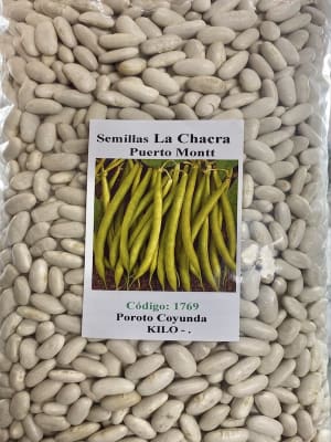 Poroto Coyunda Kilo