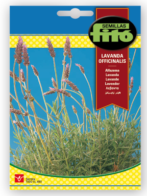 LAVANDA OFFICINALIS 1 GRAMO