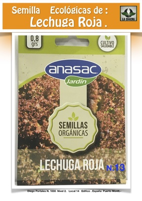 LECHUGA Lollo Rossa Orgánica