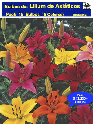 Pack de 15 Bulbos  Lilium Asiático de Corte. 5 Colores