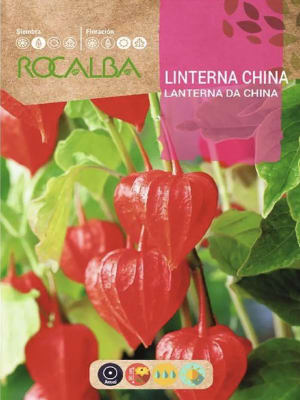 Linterna China ( Physalis Alkekengi)