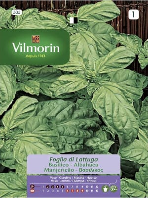 ALBAHACA HOJA LECHUGA (Vilmorin)