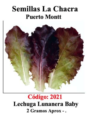 LECHUGA LUNANERA BABY