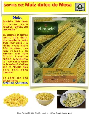 MAIZ DULCE RUSTLER
