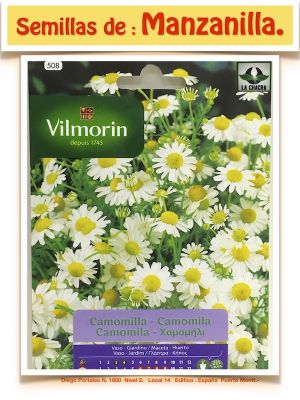 MANZANILLA  VILMORIN