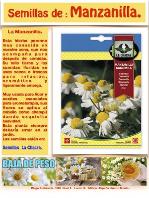 MANZANILLA (CAMOMILLA)
