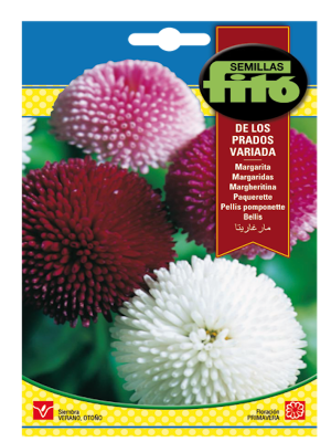 MARGARITA DE LOS PRADOS COLORES VARIADOS