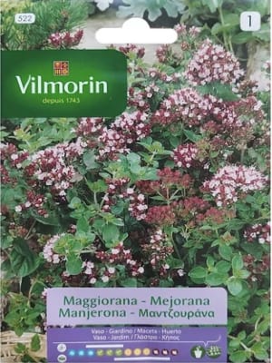 MEJORANA