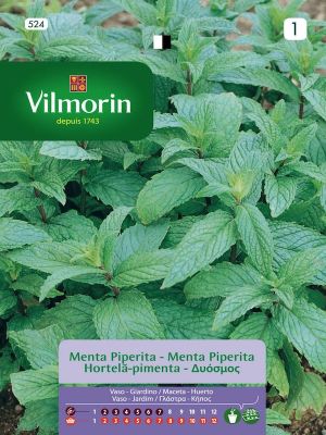 MENTA PIPERITA VERDE