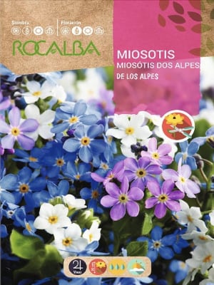 Myosotis De Los Alpes (No me olvides)