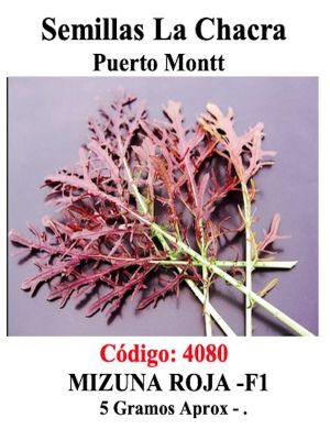 Mizuna Roja Sobre