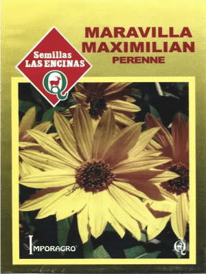 Girasol, Maravilla Maximilian Perenne. Sobre 1 Gramo