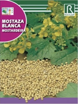 Mostaza Blanca, Semillas