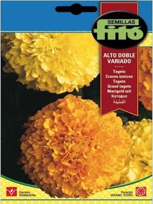 TAGETE ALTO DOBLE AMARILLO Y NARANJO