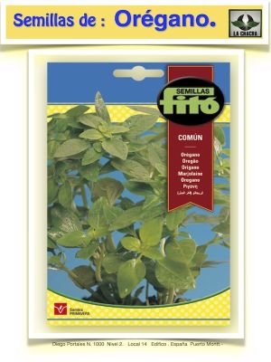 OREGANO COMUN
