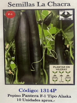 Pepino  Partenocárpico  Pantera F-1