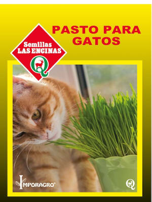 PASTO PARA GATOS