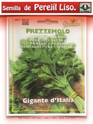 PEREJIL  4 GRAMOS GIGANTE ITALIA