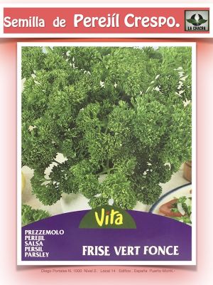 PEREJIL RIZADO VITA 4 GRAMOS