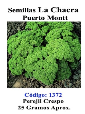 Perejil  Rizado Crespo  25 Gramos