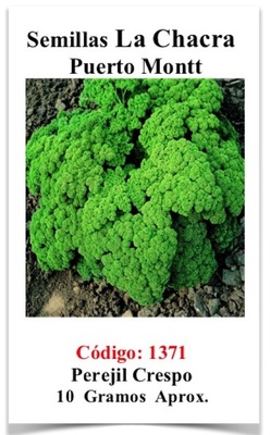 Perejil Rizado Crespo 10 Gramos