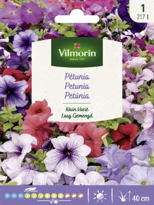 PETUNIA . COLORES VARIADOS (217 I )