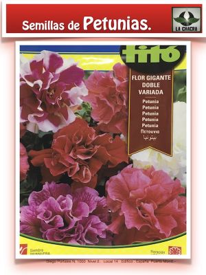 PETUNIA DOBLE FLOR GIGANTE VARIADA