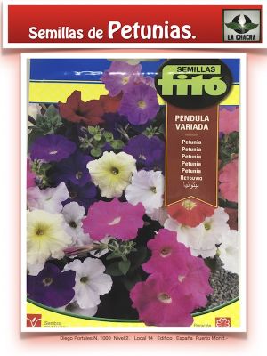 PETUNIA PENDULA VARIADA