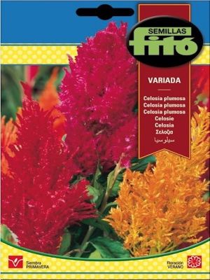 CELOSÍA PLUMOSA VARIADA 2 GRAMOS