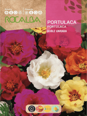 PORTULACA Rocalba DOBLE VARIADA