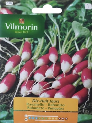RABANITO LARGO 18 DÍAS