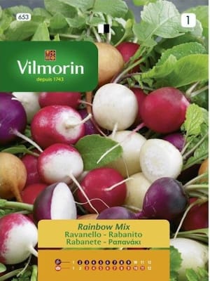RABANITOS RAINBOX MIX. 4 Gramos