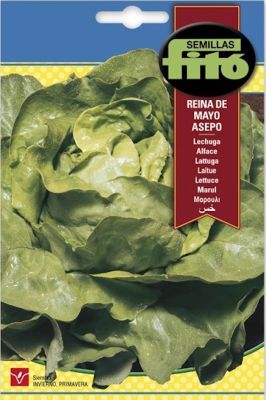 LECHUGA REPOLLADA REINA DE MAYO ASEPO