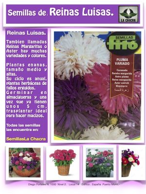 REINA LUISA CORONADO PLUMA VARIADO 2 GRAMOS.