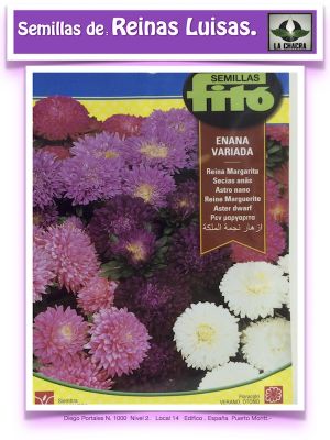 REINA MARGARITA ENANA VARIADA 2 GRAMOS
