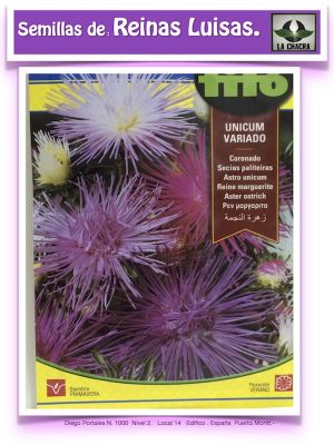 REINA LUISA CORONADO UNICUM VARIADO