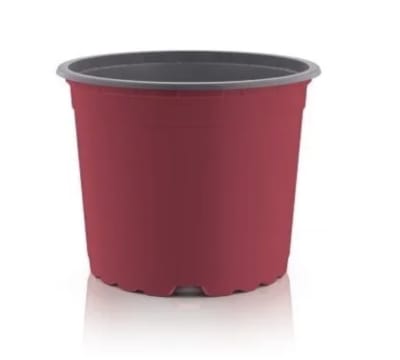 Maceteros Pequeños Termoformado. Color Rojo VCG-12