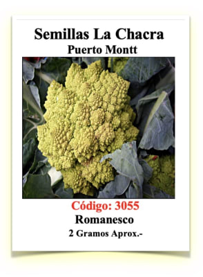 Romanesco 2 Gramos