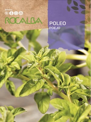 Poleo, semillas