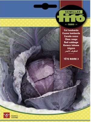 Repollo Morado, Col Lombarda TeTe Noire 3