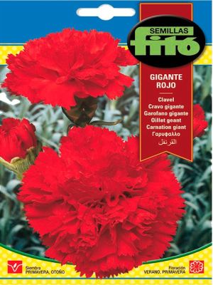 CLAVEL GIGANTE ROJO