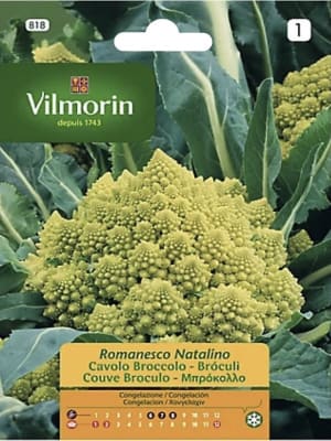 Romanesco (Vilmorin)