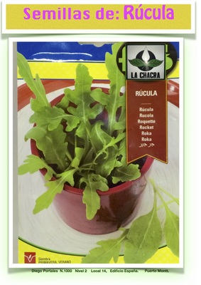 RÚCULA CULTIVADA