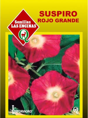 Ipomea Suspiro Rojo