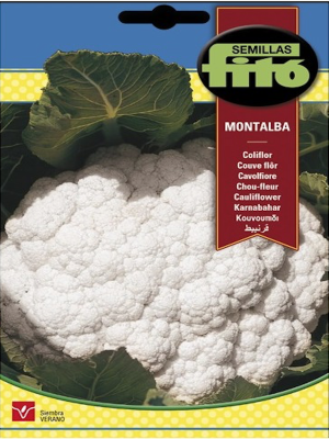 COLIFLOR MONTALBA
