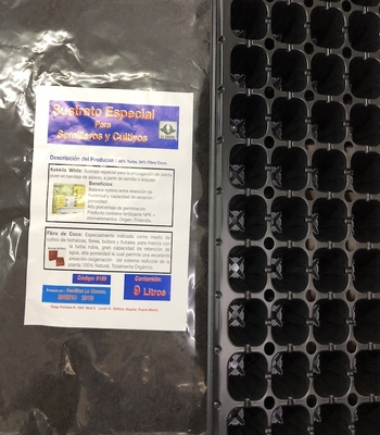 Almaciguera 72 cv + Sustrato 9 L