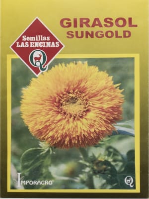 GIRASOL Sungold  Variedad solo Adorno, No corte